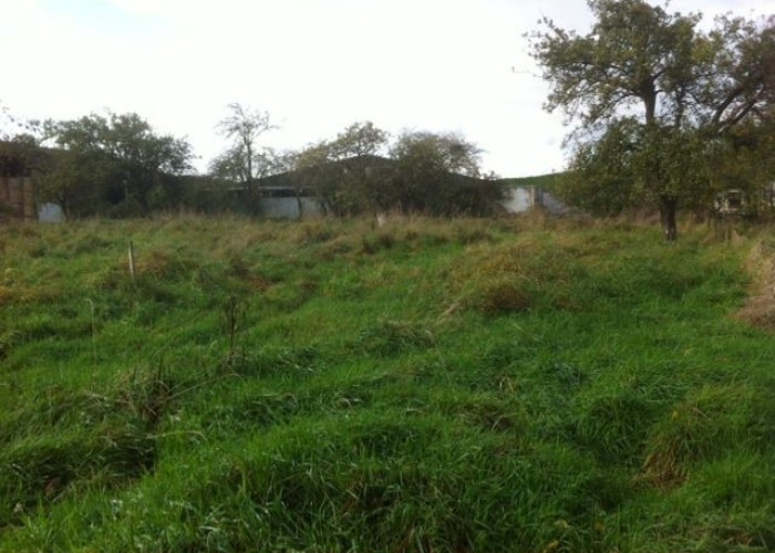 10. Fields