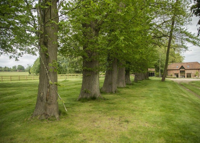 41. Gardens