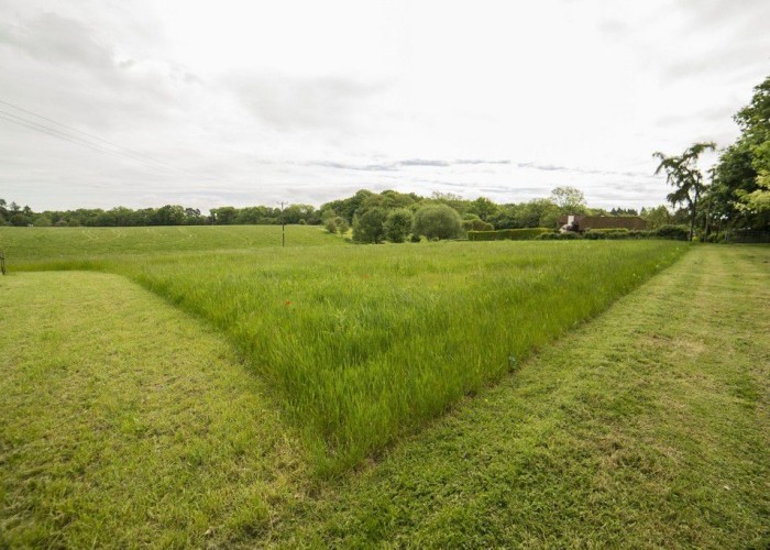 45. Fields