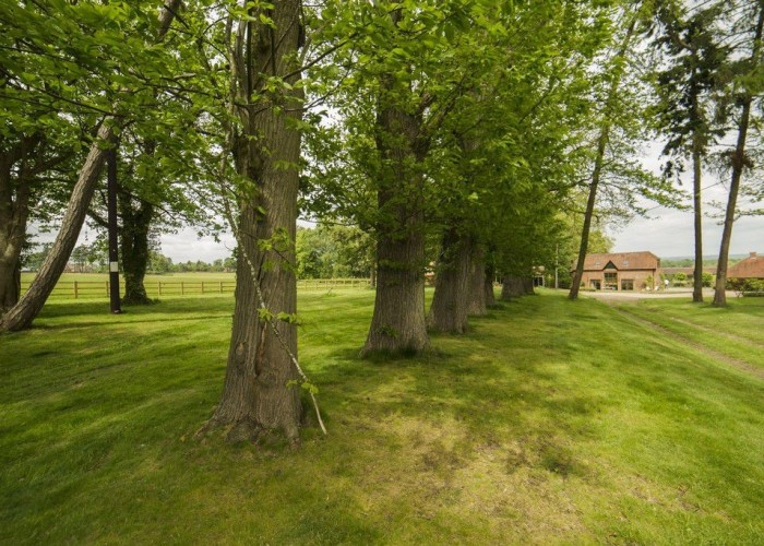 43. Gardens