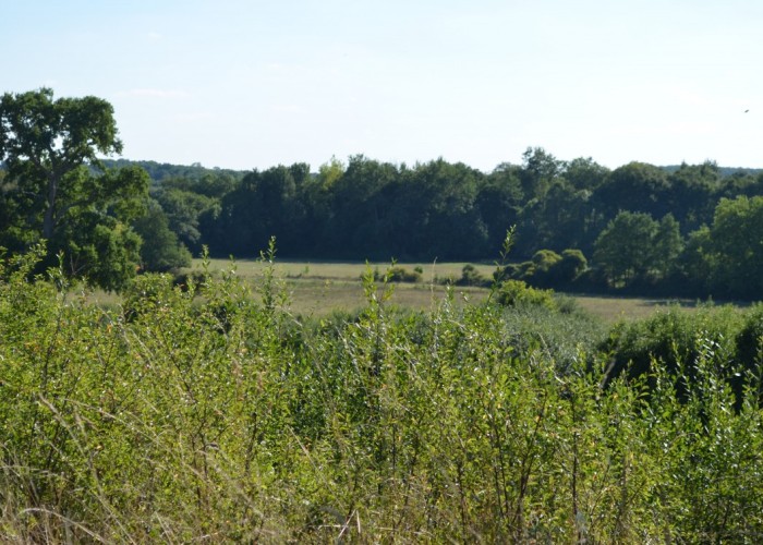 12. Countryside View
