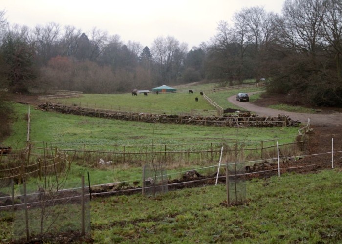 2. Field (Farmland)