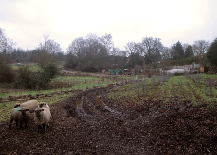 6. Farm