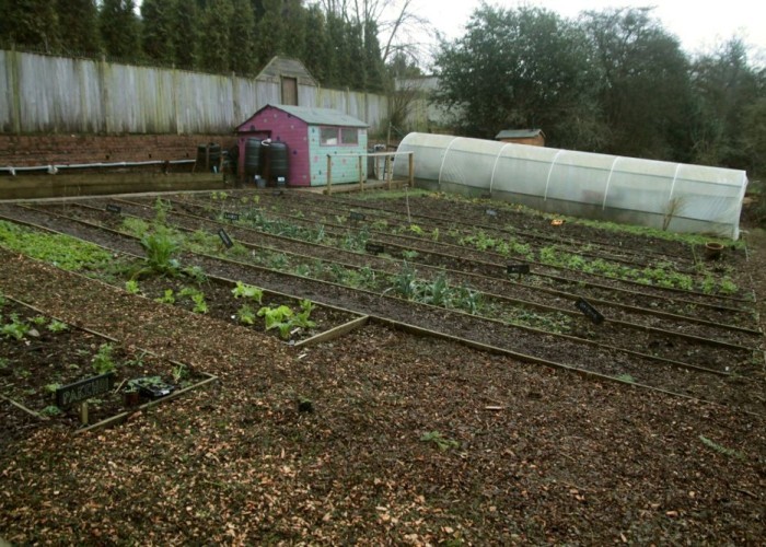 9. Allotment