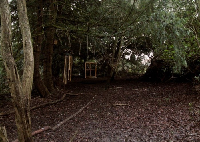 10. Woodland