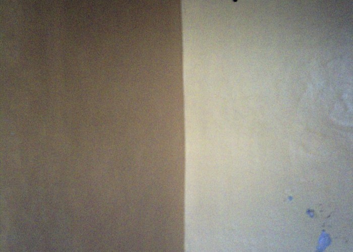 41. Props / Feature