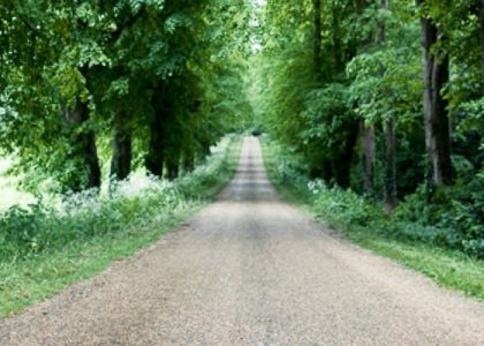 101. Road / Street