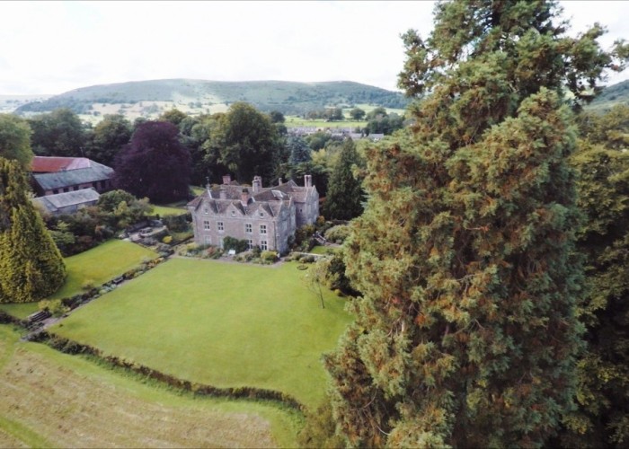2. Field (Meadow)