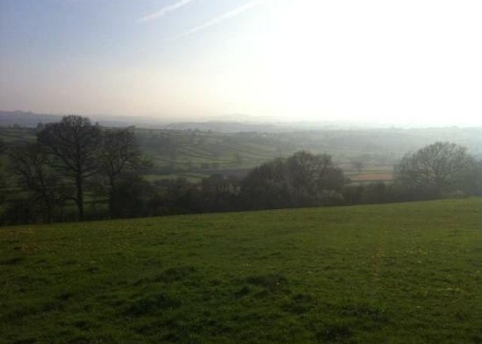 14. Fields