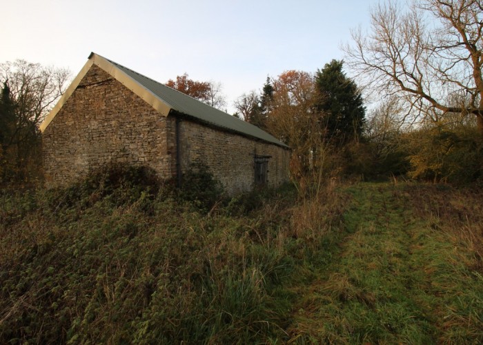 1. Field (Wildflowers)