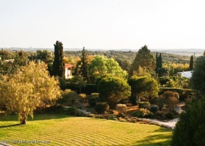 1. Countryside View