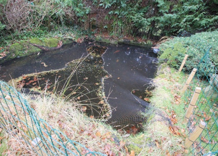 51. Lake / Pond