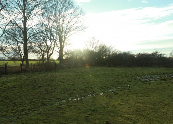 51. Field (Farmland)