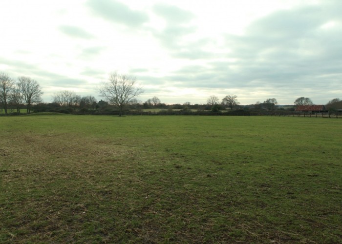 50. Field (Meadow)