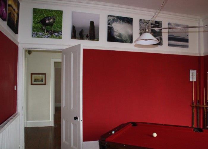 13. Billiards / Pool Room