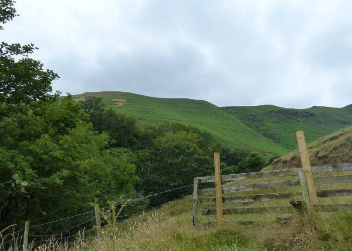 8. Countryside View