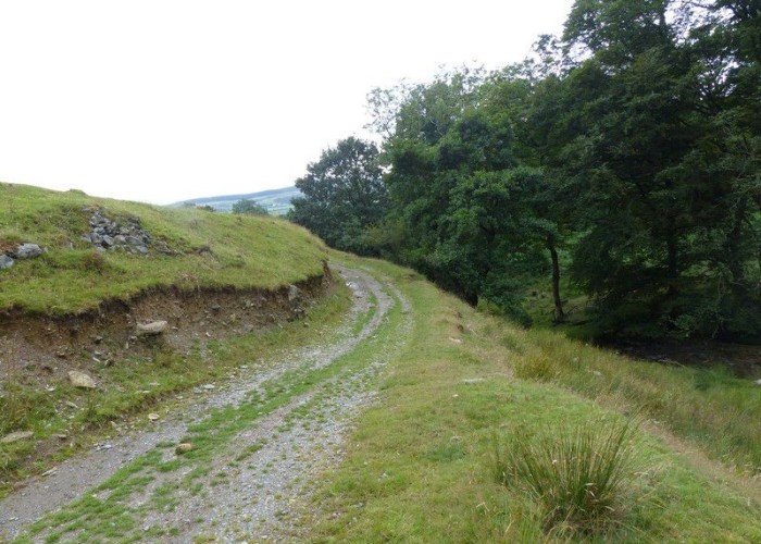 10. Track / Lane