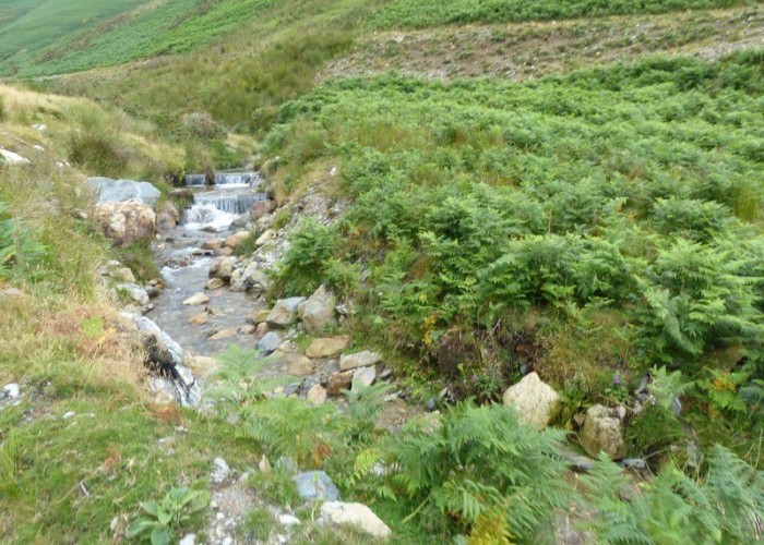 15. Wilderness