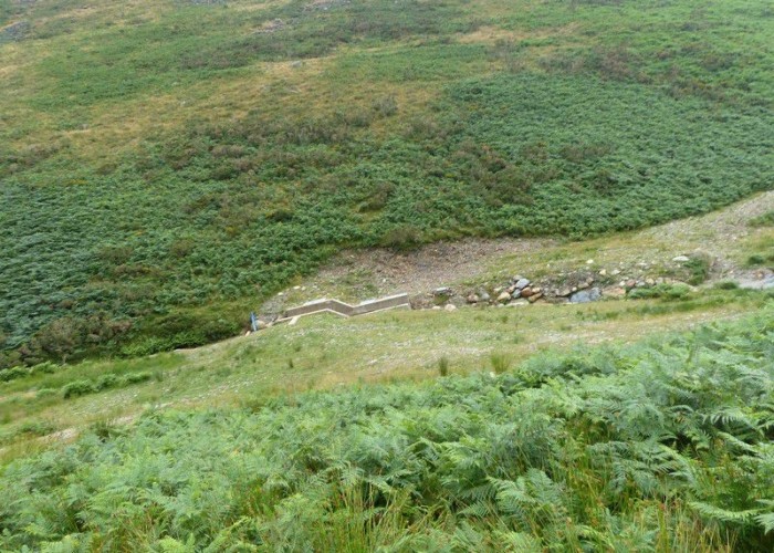 19. Countryside View