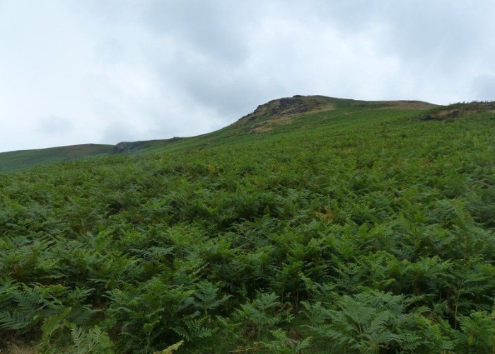 24. Countryside View