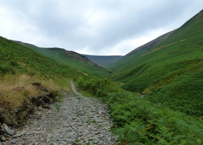 25. Wilderness