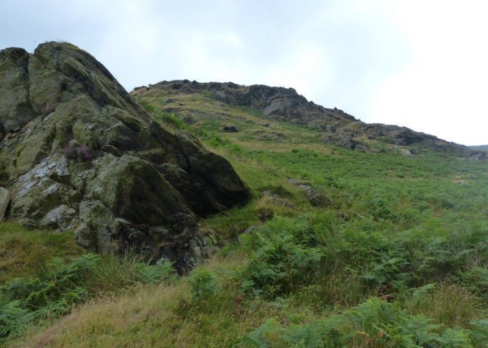 28. Wilderness
