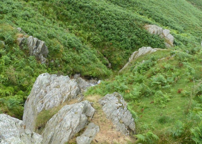 29. Wilderness