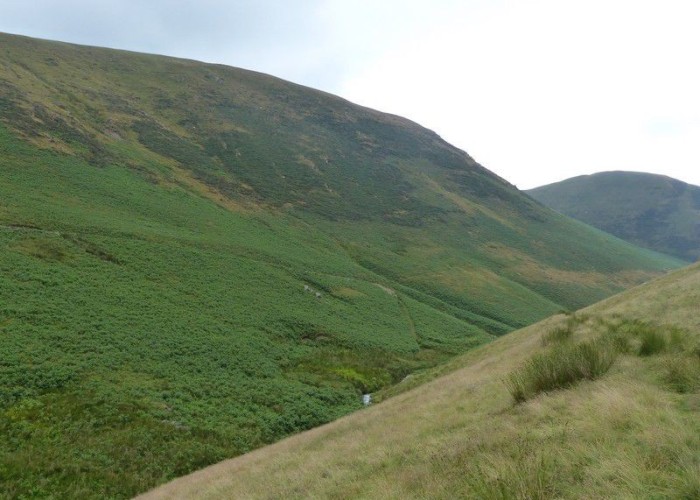 31. Wilderness