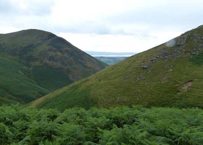 32. Wilderness