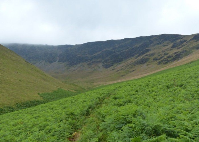 34. Wilderness