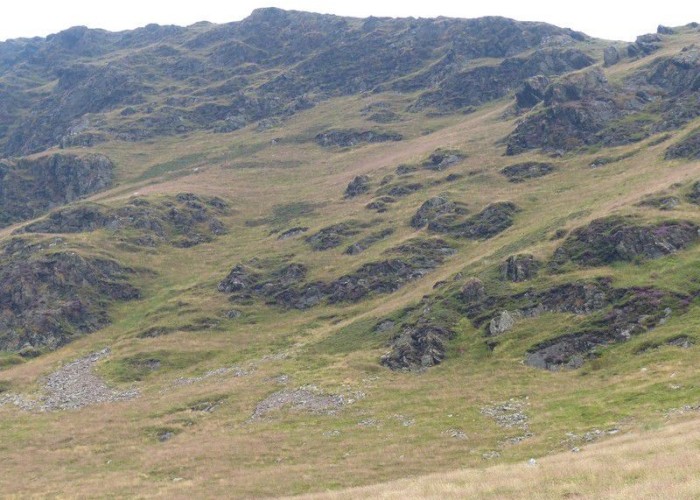 36. Wilderness