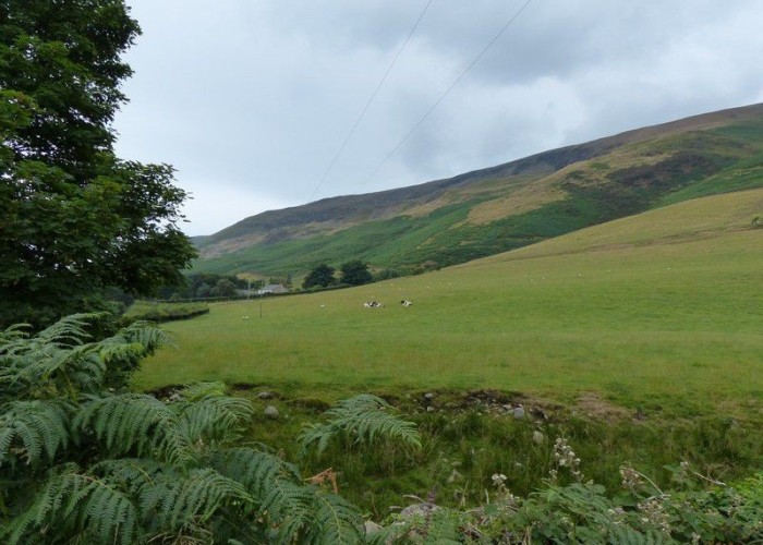 42. Countryside View