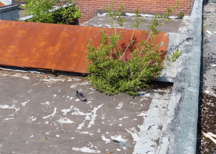 74. Rooftop
