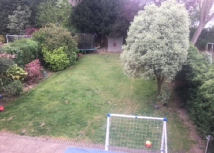 10. Gardens
