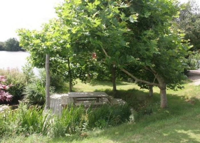 10. Gardens