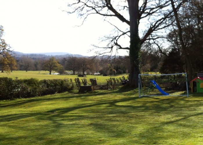 22. Field (Meadow)