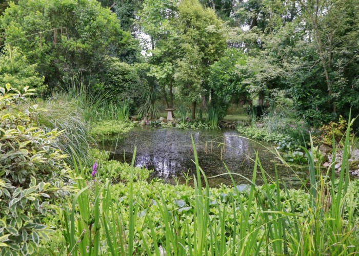 45. Lake / Pond