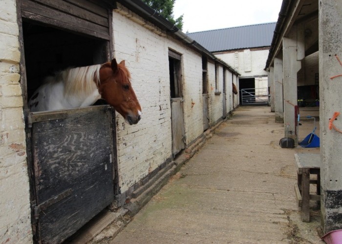5. Stables