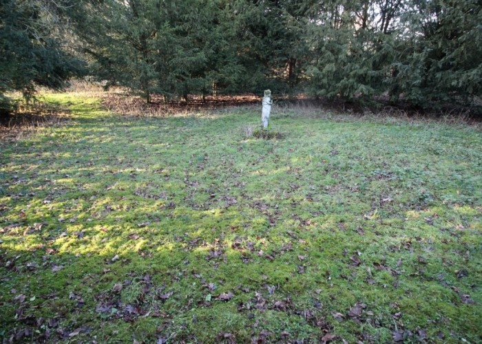 16. 