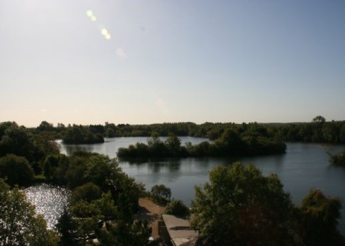 1. Lake / Pond