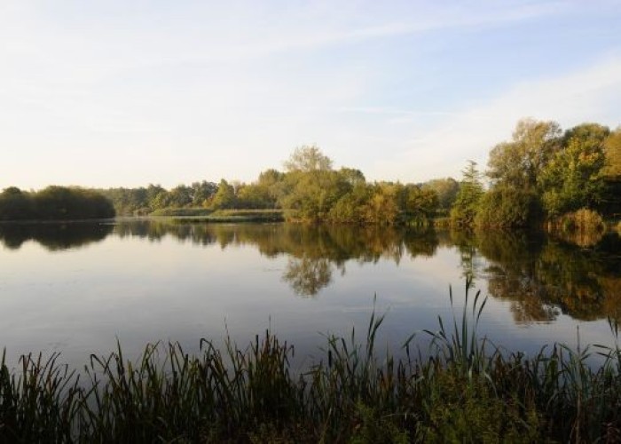16. Lake / Pond