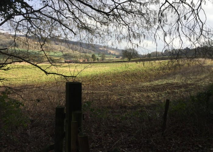 14. Fields