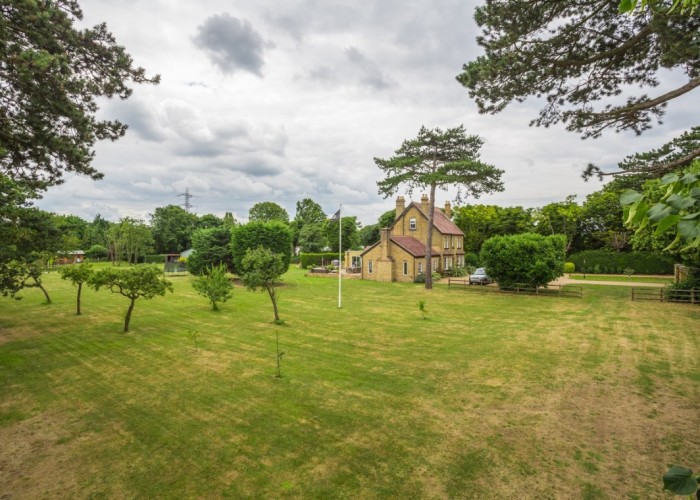 44. Garden (Rear, Large)