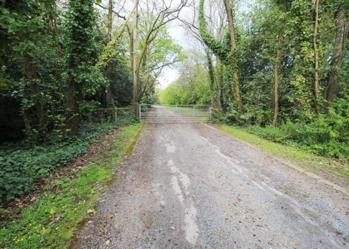 63. Driveway