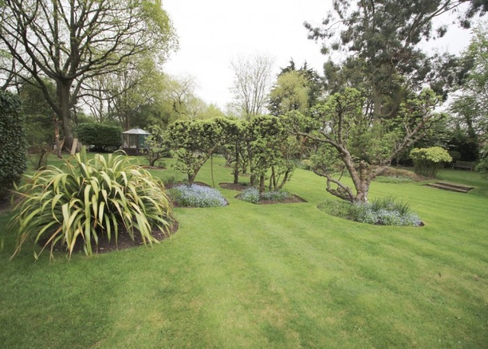 40. Garden (Rear, Large)