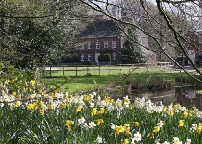 6. House / Cottage