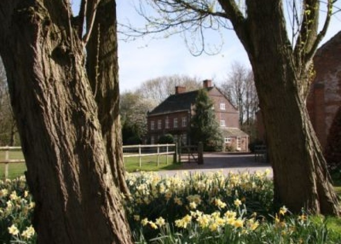 8. House / Cottage