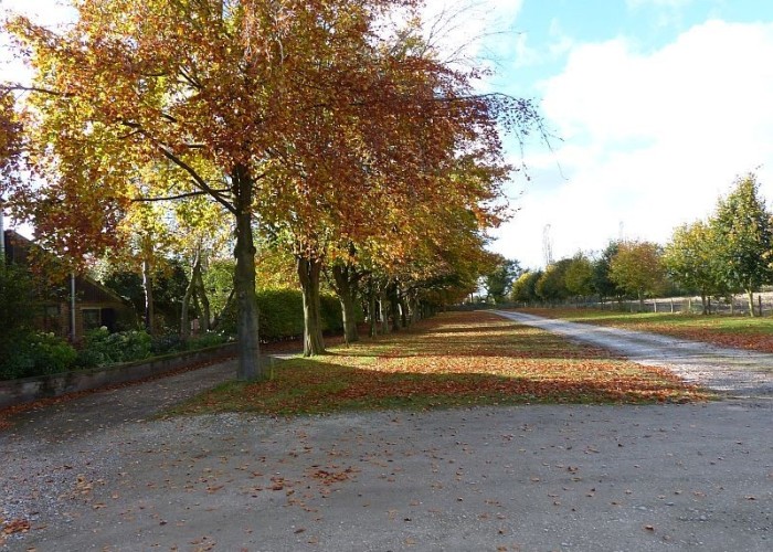 9. Driveway