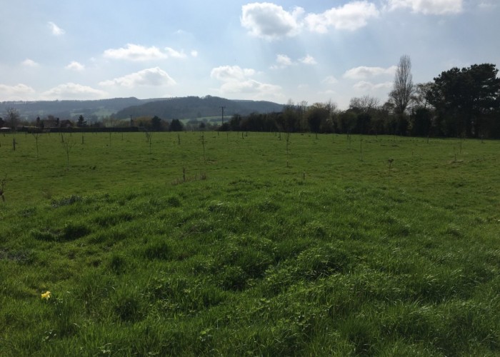 14. Fields