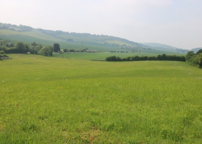 31. Field (Farmland)